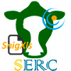 Logo SnigXls